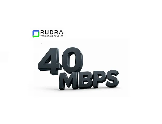 Enterprise/ Premium Plus 40 MBPS