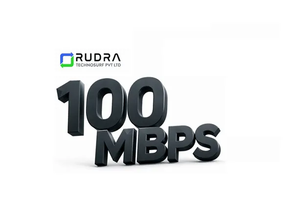 Enterprise/ Premium Plus 100 MBPS