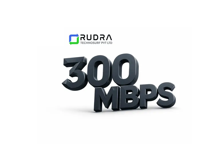 Enterprise/ Premium Plus 300 MBPS